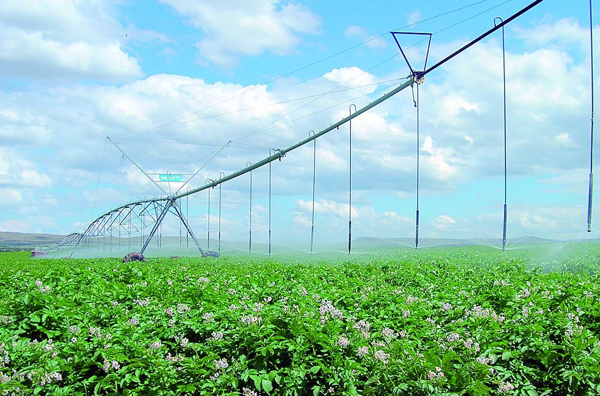 高效特色农业的建设背景和建设目标.jpeg 高效特色农业的建设背景和建设目标.jpeg