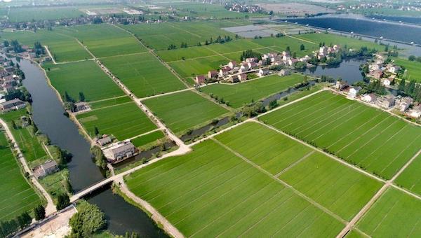 实心村是乡村振兴的基础.jpeg 实心村是乡村振兴的基础.jpeg