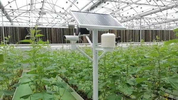 智能化大棚.jpeg 智能化大棚.jpeg