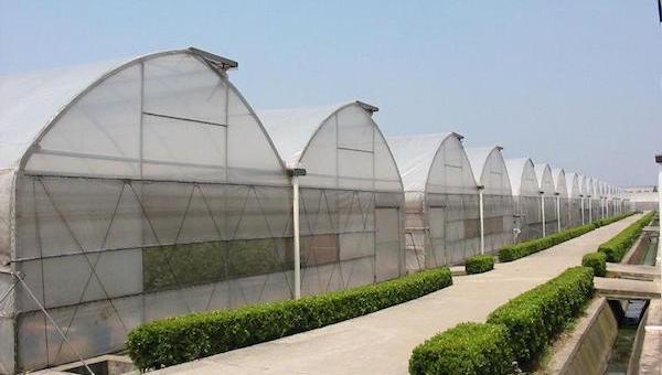 为什么非要选择智能化大棚?.jpeg 为什么非要选择智能化大棚?.jpeg