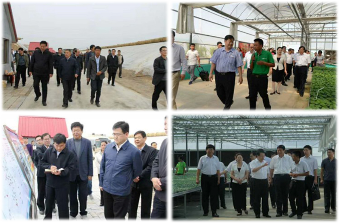 育苗大棚也能智能化?.png 育苗大棚也能智能化?.png