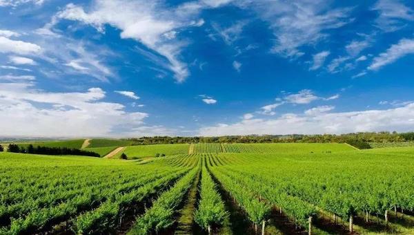 中国的水肥一体化.jpeg 中国的水肥一体化.jpeg