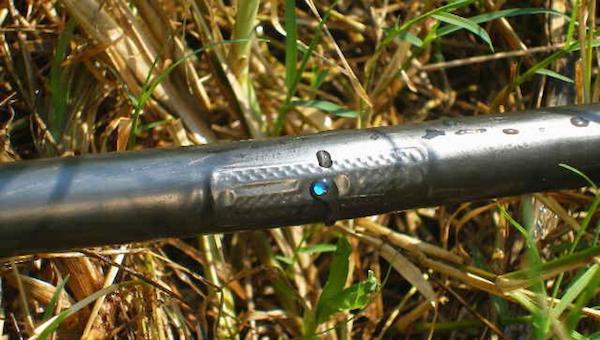 以色列的水肥一体化.jpeg 以色列的水肥一体化.jpeg