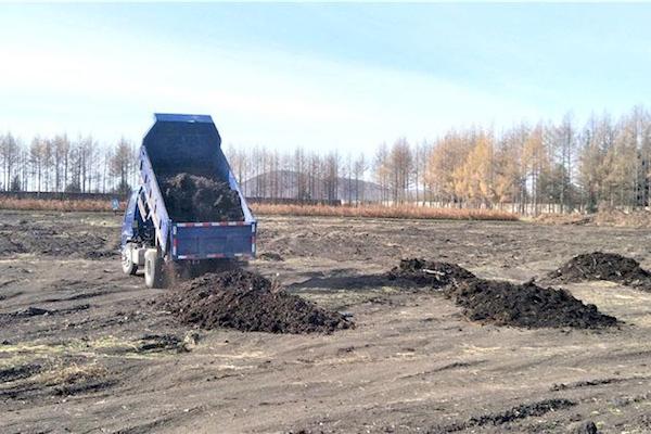 未腐熟的粪肥有什么危害?.jpeg 未腐熟的粪肥有什么危害?.jpeg