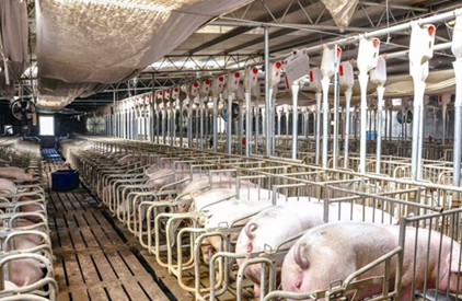 数字农业生产应用.png 数字农业生产应用.png