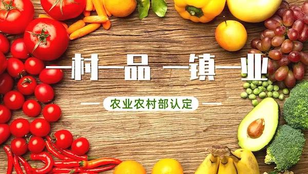 2021年全国一村一品示范镇申请开始啦.jpeg 2021年全国一村一品示范镇申请开始啦.jpeg